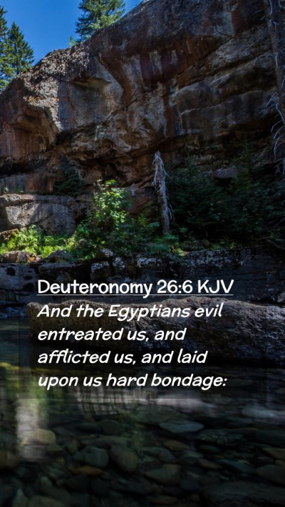 Picture 02 - Deuteronomy 26:6 KJV Mobile Phone Wallpaper - And the Egyptians evil entreated us, and - Mobile Bible Verse Wallpaper