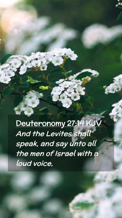 Picture 02 - Deuteronomy 27:14 KJV Mobile Phone Wallpaper - And the Levites shall speak, and say unto all the - Mobile Bible Verse Wallpaper