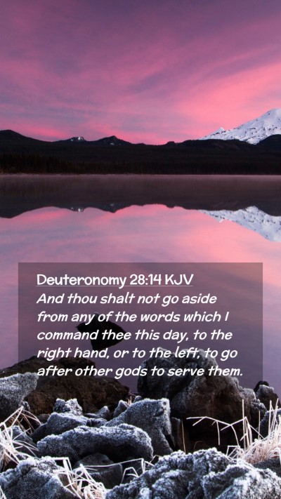 Picture 02 - Deuteronomy 28:14 KJV Mobile Phone Wallpaper - And thou shalt not go aside from any of the words - Mobile Bible Verse Wallpaper