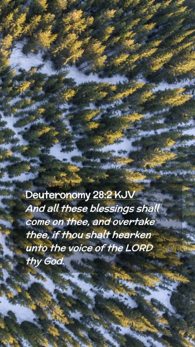 Picture 02 - Deuteronomy 28:2 KJV Mobile Phone Wallpaper - And all these blessings shall come on thee, and - Mobile Bible Verse Wallpaper