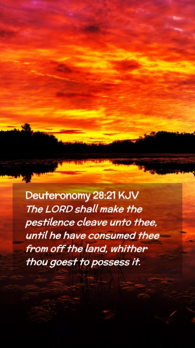 Picture 02 - Deuteronomy 28:21 KJV Mobile Phone Wallpaper - The LORD shall make the pestilence cleave unto - Mobile Bible Verse Wallpaper