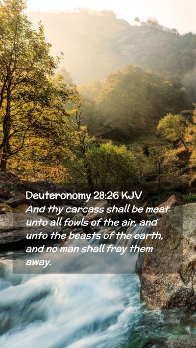 Picture 02 - Deuteronomy 28:26 KJV Mobile Phone Wallpaper - And thy carcass shall be meat unto all fowls of - Mobile Bible Verse Wallpaper