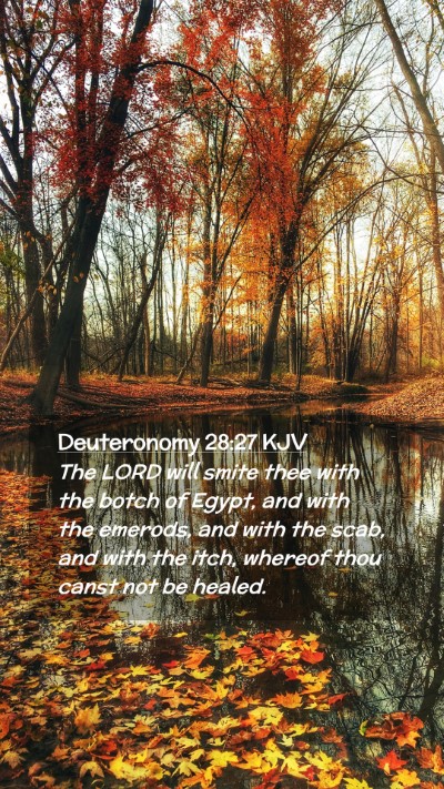 Picture 02 - Deuteronomy 28:27 KJV Mobile Phone Wallpaper - The LORD will smite thee with the botch of Egypt, - Mobile Bible Verse Wallpaper