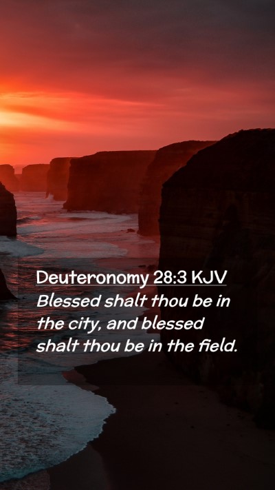 Picture 02 - Deuteronomy 28:3 KJV Mobile Phone Wallpaper - Blessed shalt thou be in the city, and blessed - Mobile Bible Verse Wallpaper