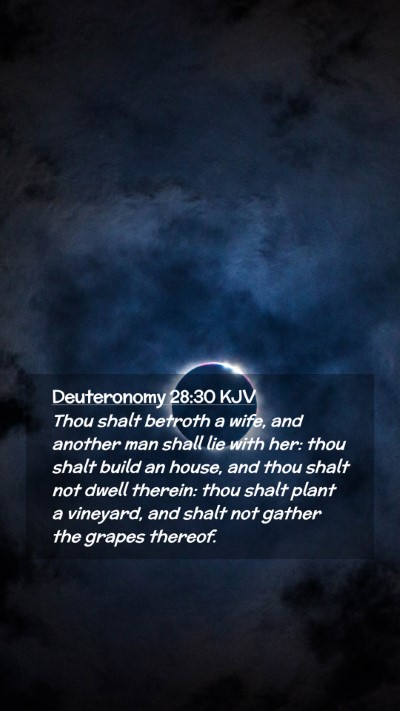 Picture 02 - Deuteronomy 28:30 KJV Mobile Phone Wallpaper - Thou shalt betroth a wife, and another man shall - Mobile Bible Verse Wallpaper