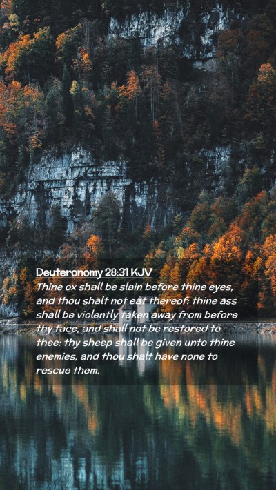 Picture 02 - Deuteronomy 28:31 KJV Mobile Phone Wallpaper - Thine ox shall be slain before thine eyes, and - Mobile Bible Verse Wallpaper