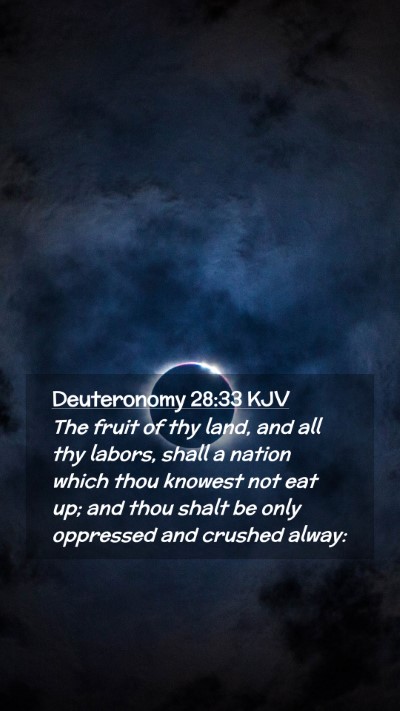 Picture 02 - Deuteronomy 28:33 KJV Mobile Phone Wallpaper - The fruit of thy land, and all thy labors, shall - Mobile Bible Verse Wallpaper