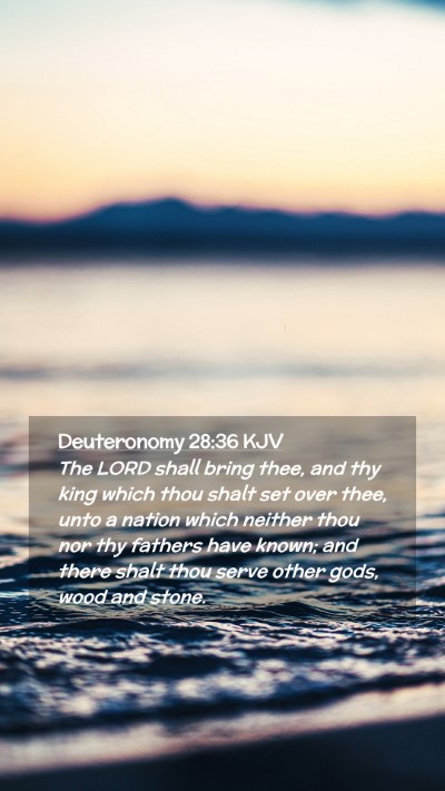 Picture 02 - Deuteronomy 28:36 KJV Mobile Phone Wallpaper - The LORD shall bring thee, and thy king which - Mobile Bible Verse Wallpaper