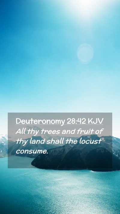 Picture 02 - Deuteronomy 28:42 KJV Mobile Phone Wallpaper - All thy trees and fruit of thy land shall the - Mobile Bible Verse Wallpaper