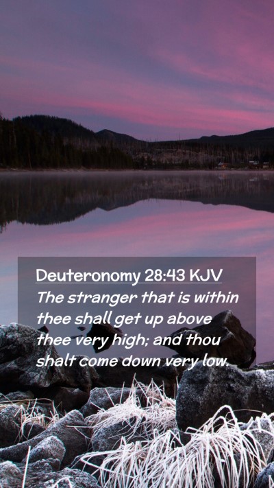 Picture 02 - Deuteronomy 28:43 KJV Mobile Phone Wallpaper - The stranger that is within thee shall get up - Mobile Bible Verse Wallpaper