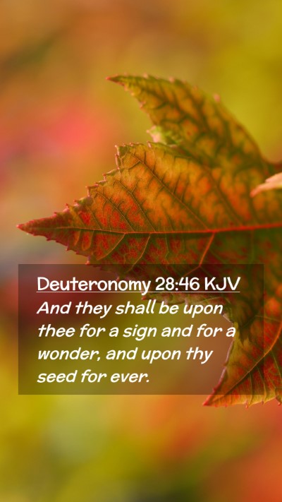 Picture 02 - Deuteronomy 28:46 KJV Mobile Phone Wallpaper - And they shall be upon thee for a sign and for a - Mobile Bible Verse Wallpaper
