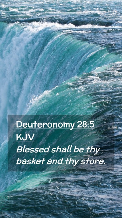Picture 02 - Deuteronomy 28:5 KJV Mobile Phone Wallpaper - Blessed shall be thy basket and thy - Mobile Bible Verse Wallpaper