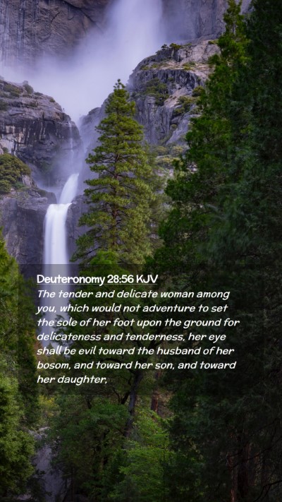 Picture 02 - Deuteronomy 28:56 KJV Mobile Phone Wallpaper - The tender and delicate woman among you, which - Mobile Bible Verse Wallpaper