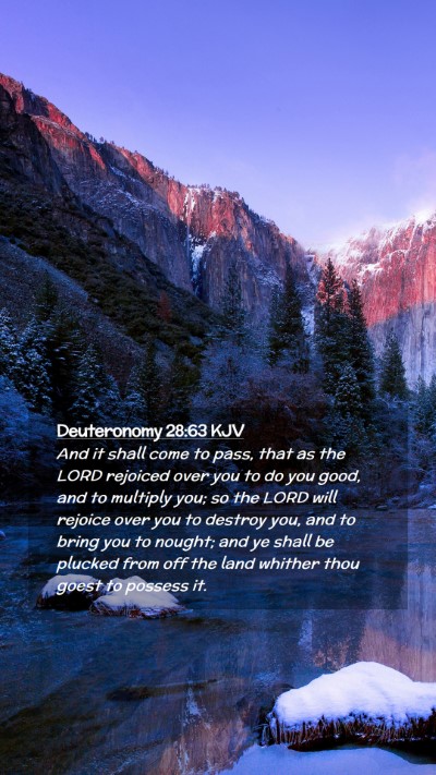 Picture 02 - Deuteronomy 28:63 KJV Mobile Phone Wallpaper - And it shall come to pass, that as the LORD - Mobile Bible Verse Wallpaper