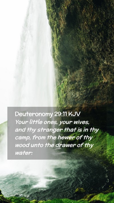 Picture 02 - Deuteronomy 29:11 KJV Mobile Phone Wallpaper - Your little ones, your wives, and thy stranger - Mobile Bible Verse Wallpaper