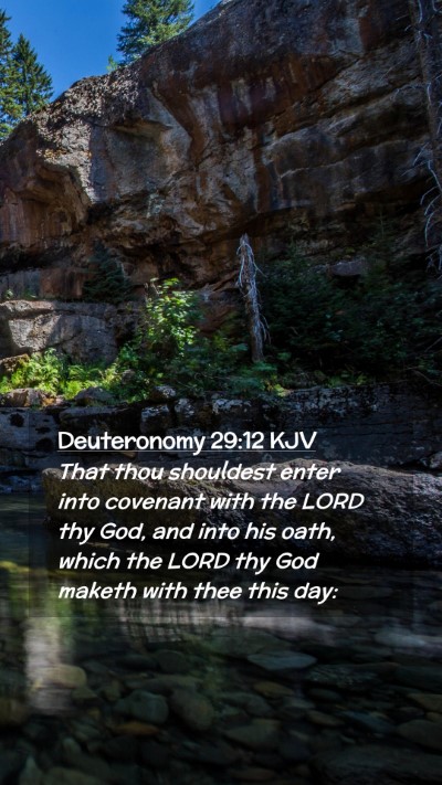 Picture 02 - Deuteronomy 29:12 KJV Mobile Phone Wallpaper - That thou shouldest enter into covenant with the - Mobile Bible Verse Wallpaper