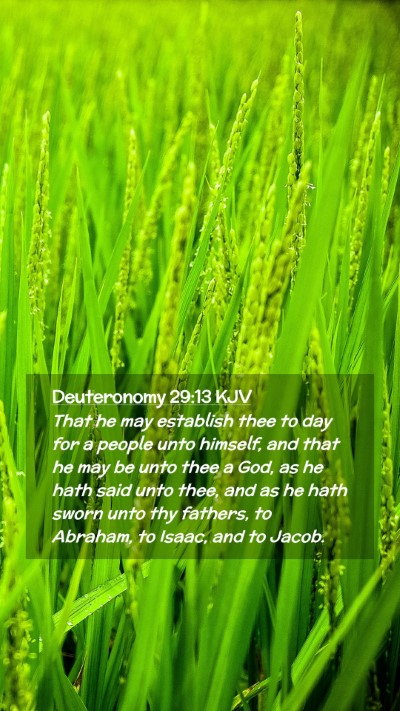 Picture 02 - Deuteronomy 29:13 KJV Mobile Phone Wallpaper - That he may establish thee to day for a people - Mobile Bible Verse Wallpaper