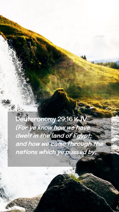 Picture 02 - Deuteronomy 29:16 KJV Mobile Phone Wallpaper - (For ye know how we have dwelt in the land of - Mobile Bible Verse Wallpaper
