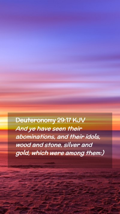 Picture 02 - Deuteronomy 29:17 KJV Mobile Phone Wallpaper - And ye have seen their abominations, and their - Mobile Bible Verse Wallpaper