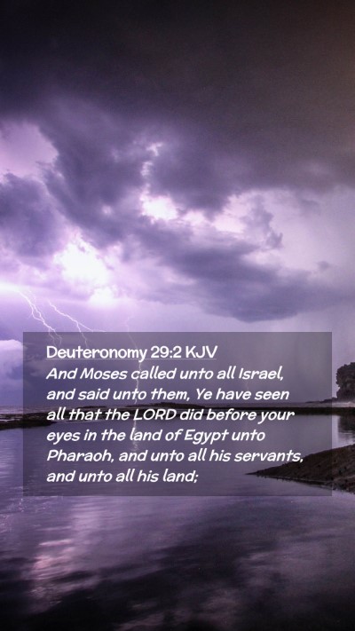 Picture 02 - Deuteronomy 29:2 KJV Mobile Phone Wallpaper - And Moses called unto all Israel, and said unto - Mobile Bible Verse Wallpaper