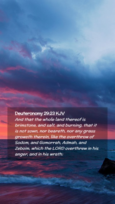 Picture 02 - Deuteronomy 29:23 KJV Mobile Phone Wallpaper - And that the whole land thereof is brimstone, and - Mobile Bible Verse Wallpaper