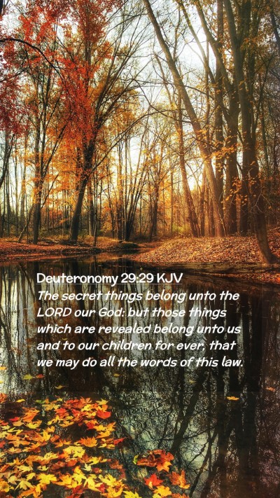 Picture 02 - Deuteronomy 29:29 KJV Mobile Phone Wallpaper - The secret things belong unto the LORD our God: - Mobile Bible Verse Wallpaper