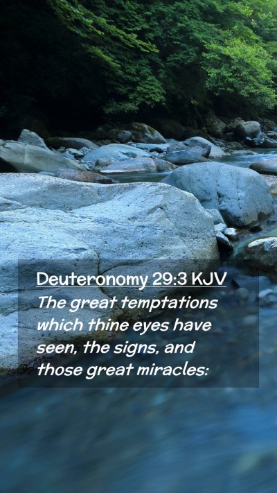 Picture 02 - Deuteronomy 29:3 KJV Mobile Phone Wallpaper - The great temptations which thine eyes have seen, - Mobile Bible Verse Wallpaper