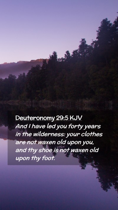 Picture 02 - Deuteronomy 29:5 KJV Mobile Phone Wallpaper - And I have led you forty years in the wilderness: - Mobile Bible Verse Wallpaper