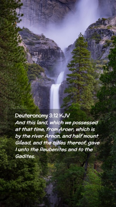 Picture 02 - Deuteronomy 3:12 KJV Mobile Phone Wallpaper - And this land, which we possessed at that time, - Mobile Bible Verse Wallpaper