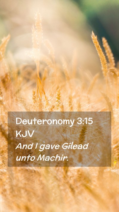 Picture 02 - Deuteronomy 3:15 KJV Mobile Phone Wallpaper - And I gave Gilead unto - Mobile Bible Verse Wallpaper