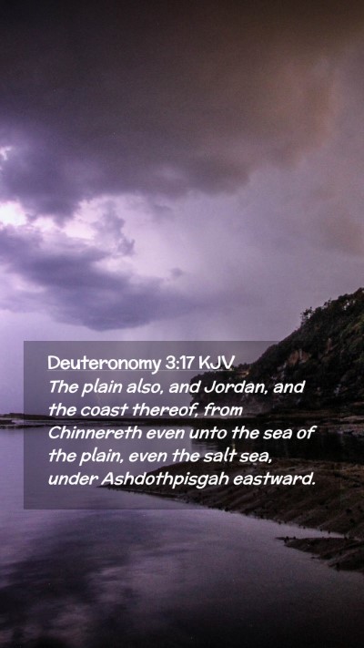 Picture 02 - Deuteronomy 3:17 KJV Mobile Phone Wallpaper - The plain also, and Jordan, and the coast - Mobile Bible Verse Wallpaper