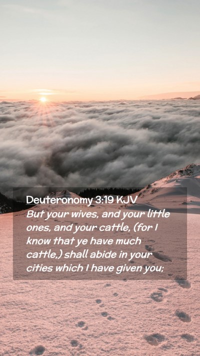 Picture 02 - Deuteronomy 3:19 KJV Mobile Phone Wallpaper - But your wives, and your little ones, and your - Mobile Bible Verse Wallpaper