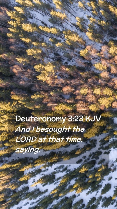 Picture 02 - Deuteronomy 3:23 KJV Mobile Phone Wallpaper - And I besought the LORD at that time, - Mobile Bible Verse Wallpaper
