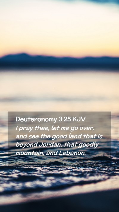 Picture 02 - Deuteronomy 3:25 KJV Mobile Phone Wallpaper - I pray thee, let me go over, and see the good - Mobile Bible Verse Wallpaper