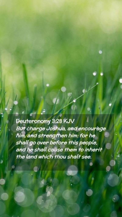 Picture 02 - Deuteronomy 3:28 KJV Mobile Phone Wallpaper - But charge Joshua, and encourage him, and - Mobile Bible Verse Wallpaper