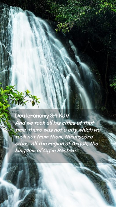 Picture 02 - Deuteronomy 3:4 KJV Mobile Phone Wallpaper - And we took all his cities at that time, there - Mobile Bible Verse Wallpaper