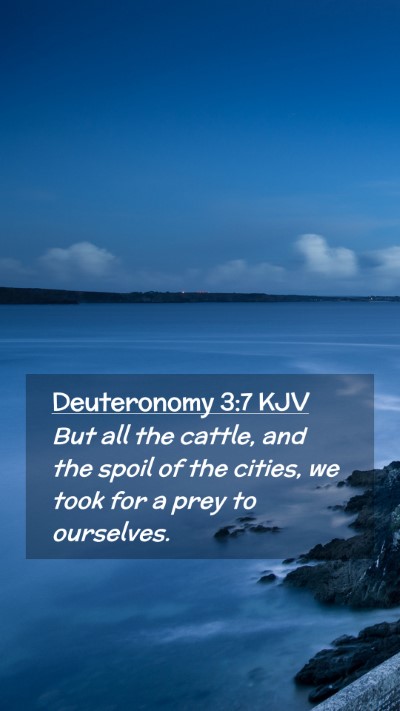 Picture 02 - Deuteronomy 3:7 KJV Mobile Phone Wallpaper - But all the cattle, and the spoil of the cities, - Mobile Bible Verse Wallpaper