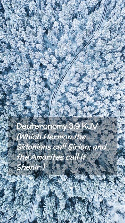Picture 02 - Deuteronomy 3:9 KJV Mobile Phone Wallpaper - (Which Hermon the Sidonians call Sirion; and the - Mobile Bible Verse Wallpaper