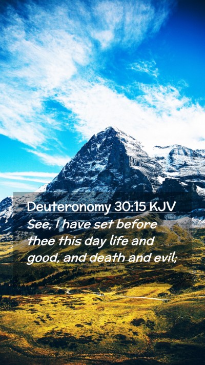 Picture 02 - Deuteronomy 30:15 KJV Mobile Phone Wallpaper - See, I have set before thee this day life and - Mobile Bible Verse Wallpaper