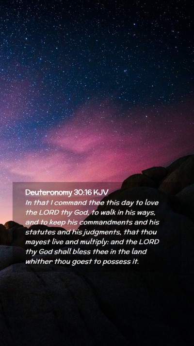 Picture 02 - Deuteronomy 30:16 KJV Mobile Phone Wallpaper - In that I command thee this day to love the LORD - Mobile Bible Verse Wallpaper