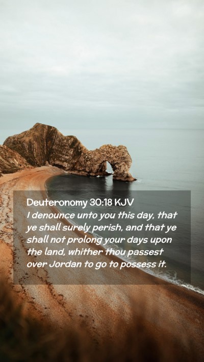 Picture 02 - Deuteronomy 30:18 KJV Mobile Phone Wallpaper - I denounce unto you this day, that ye shall - Mobile Bible Verse Wallpaper