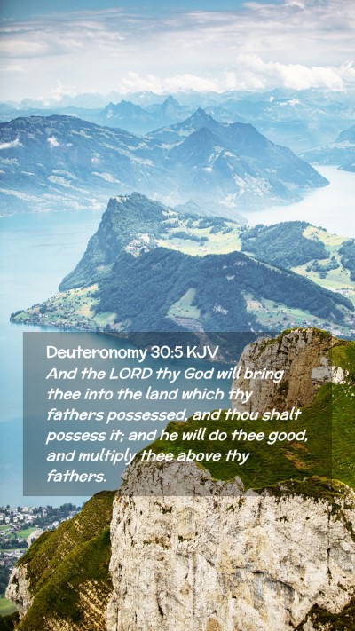 Picture 02 - Deuteronomy 30:5 KJV Mobile Phone Wallpaper - And the LORD thy God will bring thee into the - Mobile Bible Verse Wallpaper