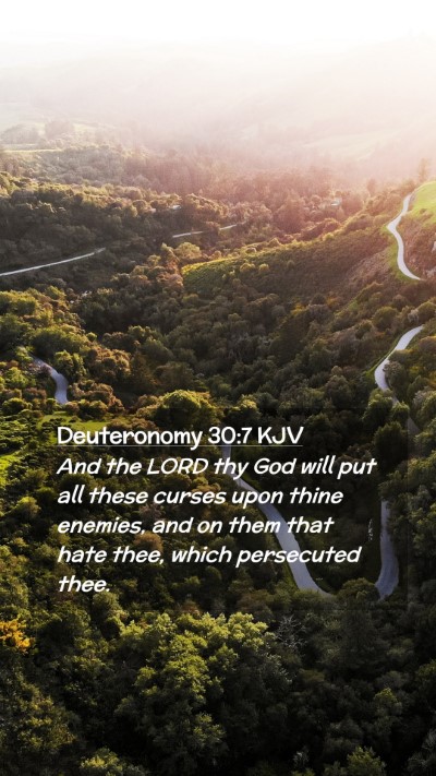 Picture 02 - Deuteronomy 30:7 KJV Mobile Phone Wallpaper - And the LORD thy God will put all these curses - Mobile Bible Verse Wallpaper