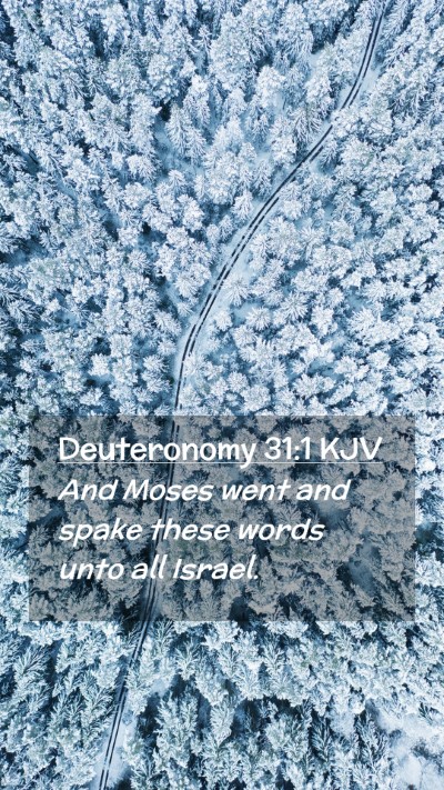 Picture 02 - Deuteronomy 31:1 KJV Mobile Phone Wallpaper - And Moses went and spake these words unto all - Mobile Bible Verse Wallpaper