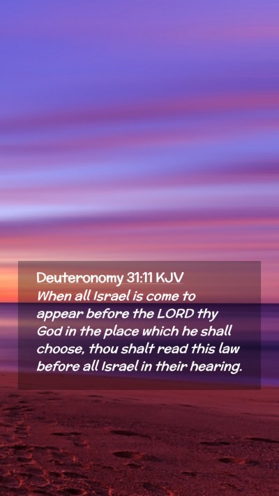 Picture 02 - Deuteronomy 31:11 KJV Mobile Phone Wallpaper - When all Israel is come to appear before the LORD - Mobile Bible Verse Wallpaper