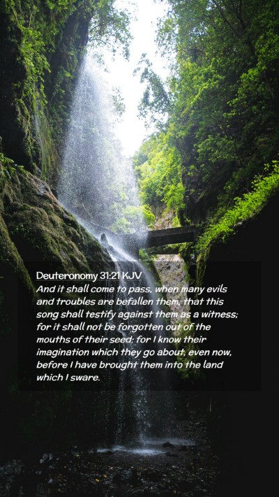 Picture 02 - Deuteronomy 31:21 KJV Mobile Phone Wallpaper - And it shall come to pass, when many evils and - Mobile Bible Verse Wallpaper