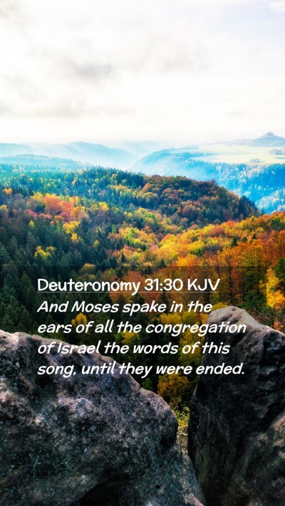 Picture 02 - Deuteronomy 31:30 KJV Mobile Phone Wallpaper - And Moses spake in the ears of all the - Mobile Bible Verse Wallpaper