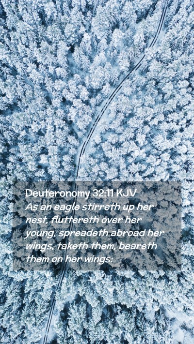 Picture 02 - Deuteronomy 32:11 KJV Mobile Phone Wallpaper - As an eagle stirreth up her nest, fluttereth over - Mobile Bible Verse Wallpaper