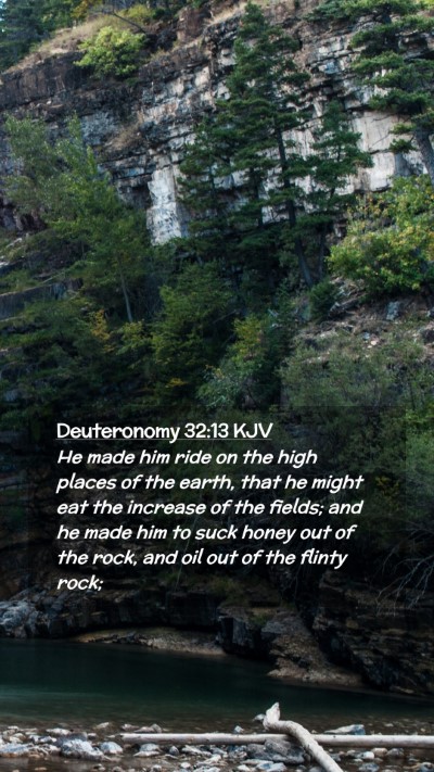 Picture 02 - Deuteronomy 32:13 KJV Mobile Phone Wallpaper - He made him ride on the high places of the earth, - Mobile Bible Verse Wallpaper