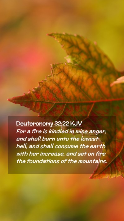 Picture 02 - Deuteronomy 32:22 KJV Mobile Phone Wallpaper - For a fire is kindled in mine anger, and shall - Mobile Bible Verse Wallpaper